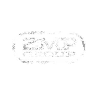 ZMP Group logo